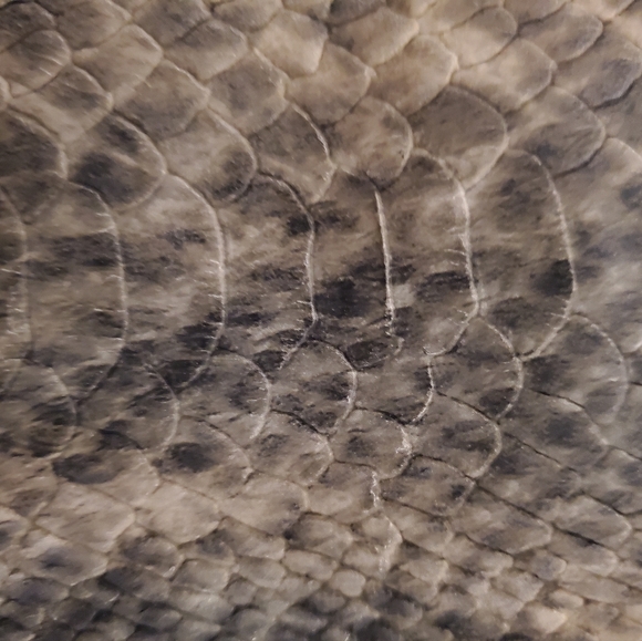 👜 Nicole Miller Snakeskin Print Wristlet - Picture 4 of 7